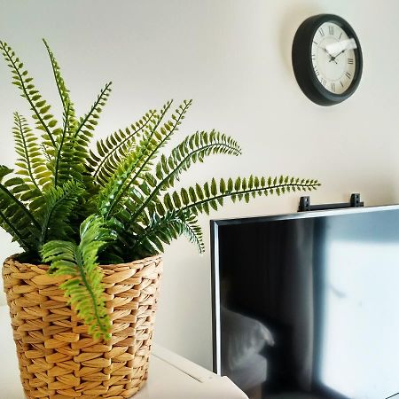Beautiful Studio On Jerusalem Boulevard Tel Aviv Esterno foto