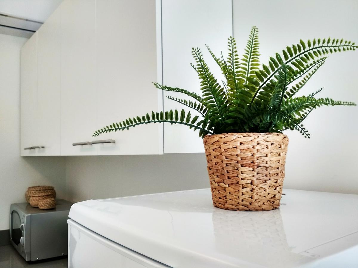 Beautiful Studio On Jerusalem Boulevard Tel Aviv Esterno foto